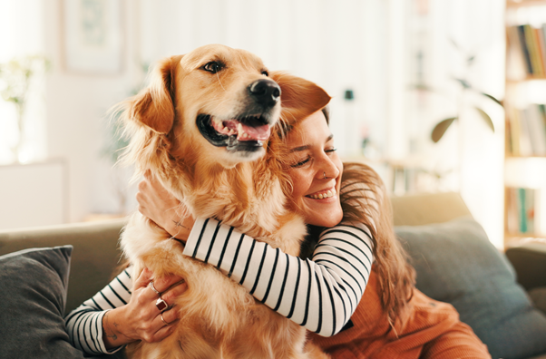 image for If Westminster Had Classes for Pet Dogs